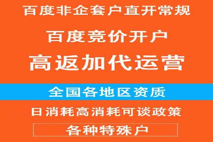 百度优化推广全解析：从零到一的流量增长